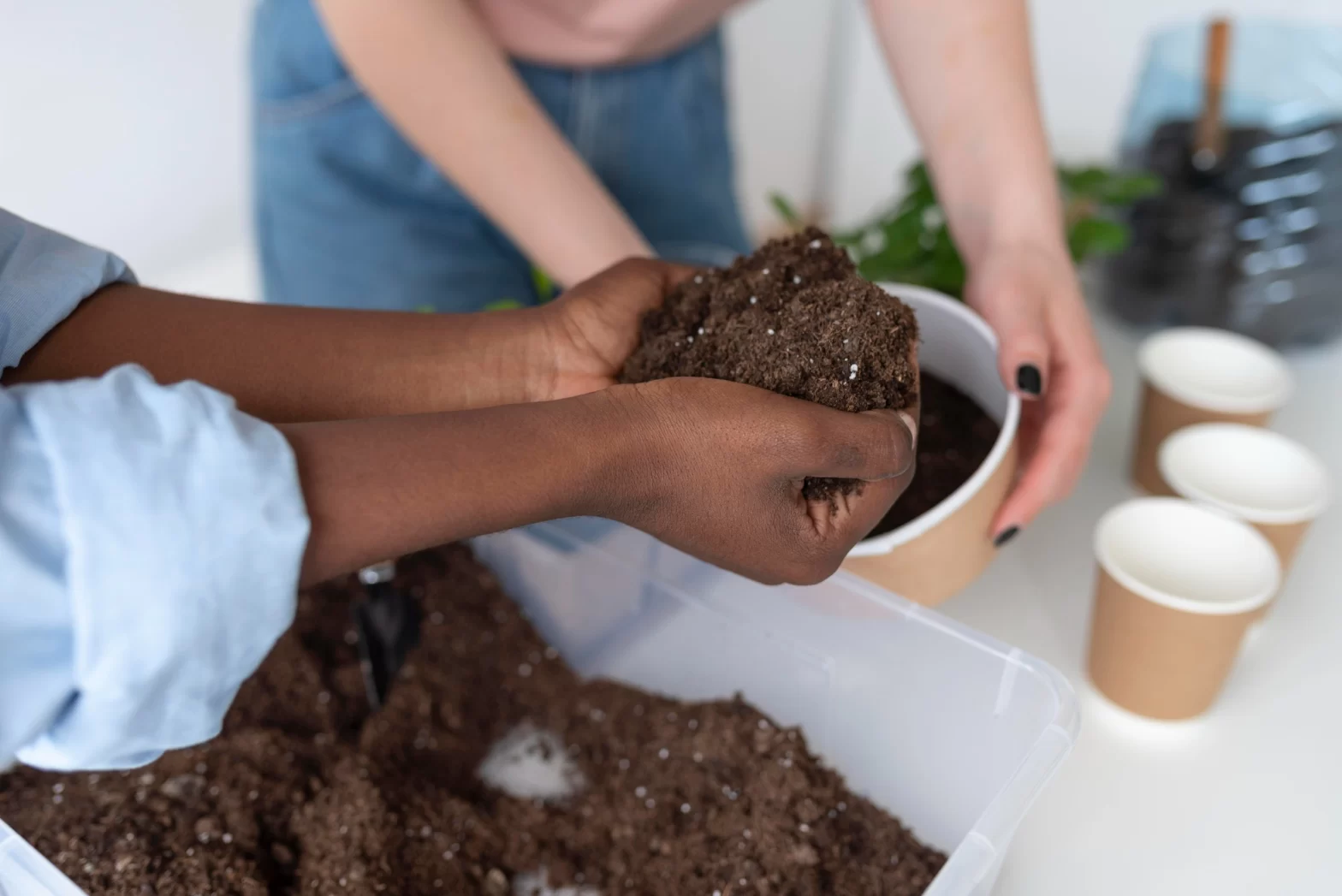 Soil Studies