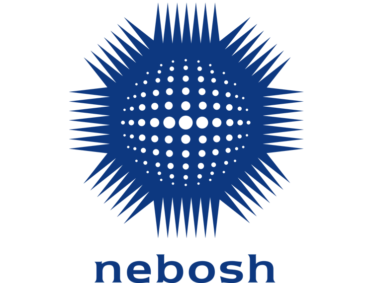 National Examination Board in Occupational Safety & Health (NEBOSH)